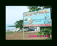 Beach advert